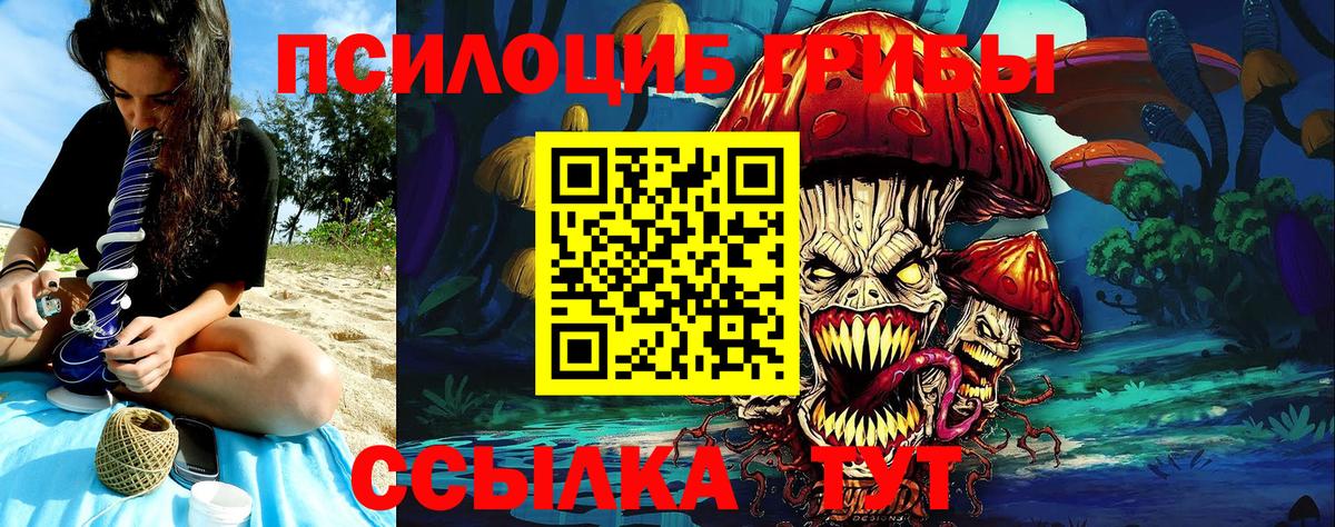 Псилоцибиновые грибы Magic Shrooms  Вход с VPN  Северск 