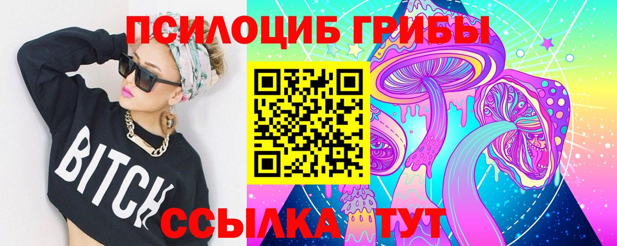 Галлюциногенные грибы Psilocybine cubensis Северск